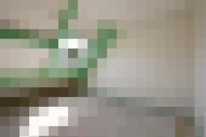Valkenlaan 81 Delft thumbnail 35