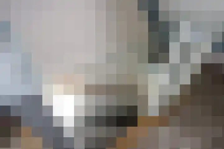 Valkenlaan 81 Delft thumbnail 36