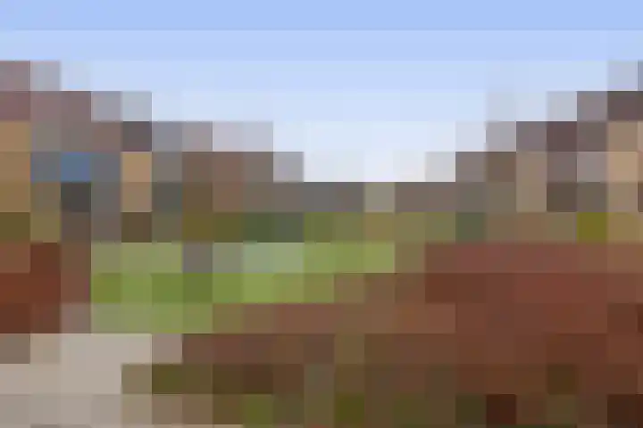 Valkenlaar 5 Bavel thumbnail 11