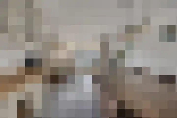 Valkenlaar 5 Bavel thumbnail 13