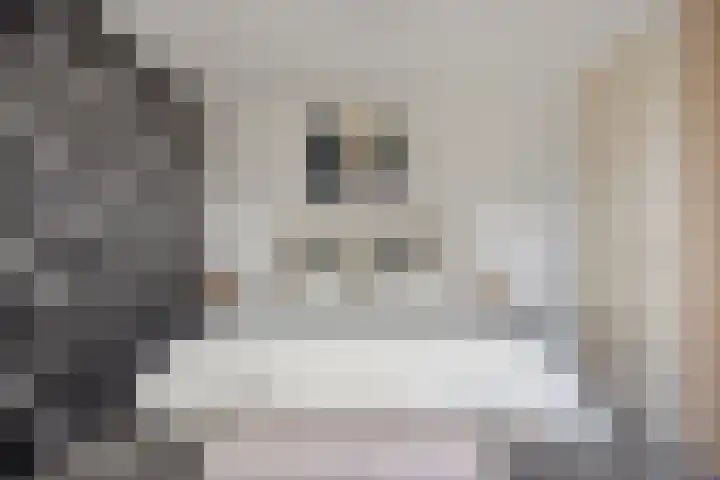 Valkenlaar 5 Bavel thumbnail 20