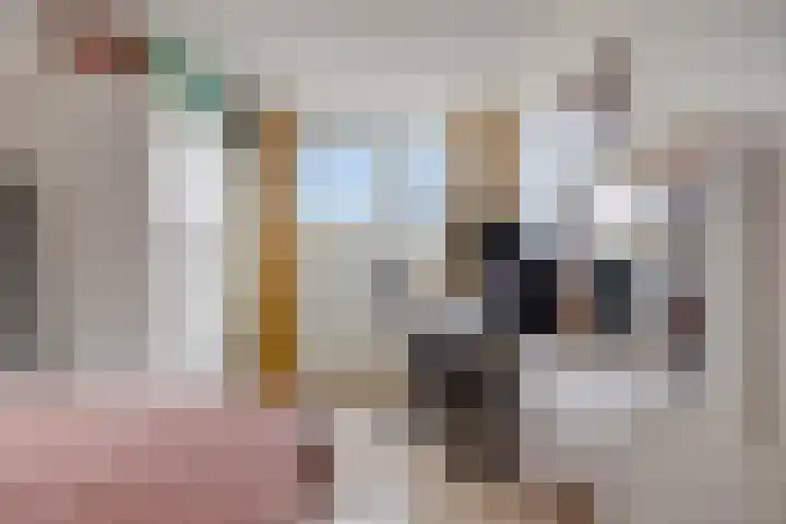 Valkenlaar 5 Bavel thumbnail 26