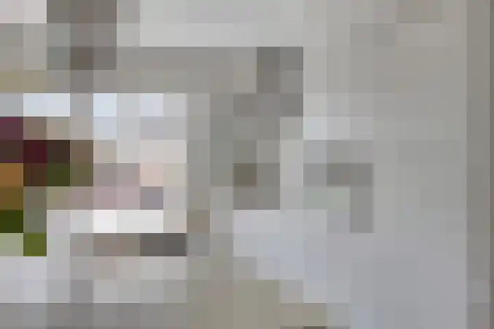 Valkenlaar 5 Bavel thumbnail 4