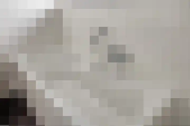 Valkenlaar 5 Bavel thumbnail 43