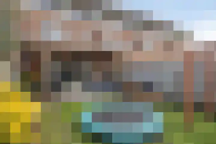 Valkenlaar 5 Bavel thumbnail 47