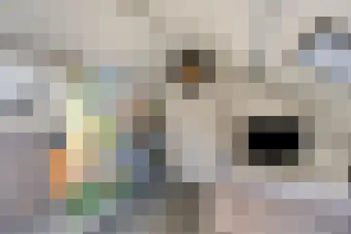 Valkenlaar 5 Bavel thumbnail 53