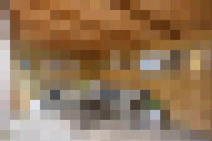Valkenlaar 5 Bavel thumbnail 56