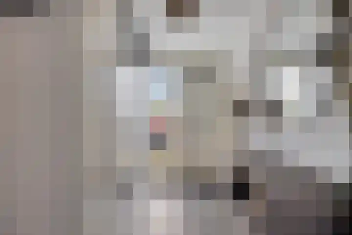 Valkenlaar 5 Bavel thumbnail 6