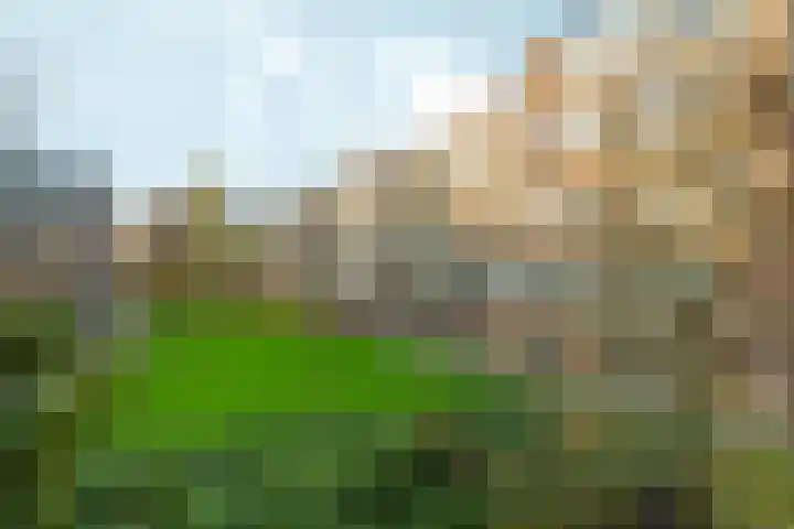 Valkenstein 88 3 Amsterdam thumbnail 33