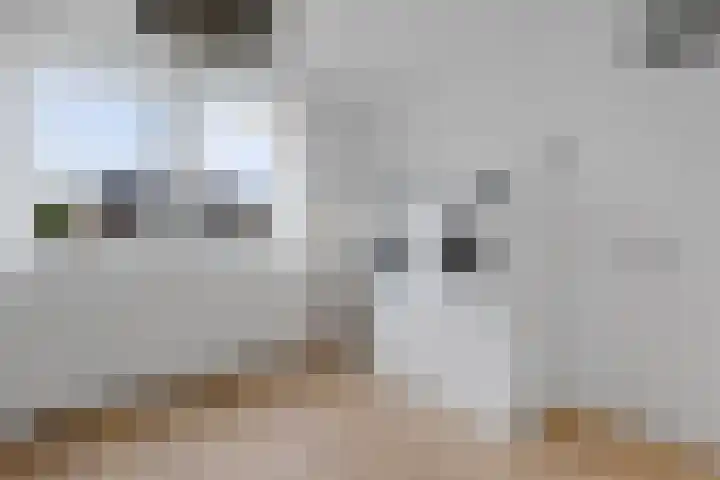 Valkenveld 131 Emmen thumbnail 20