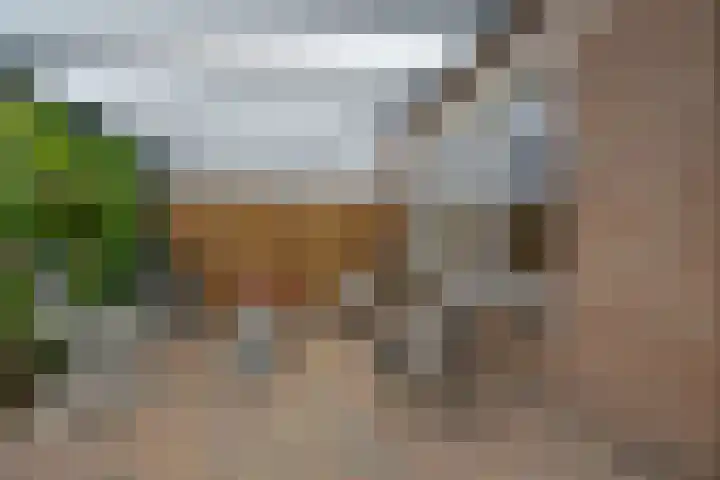 Valkenveld 131 Emmen thumbnail 28