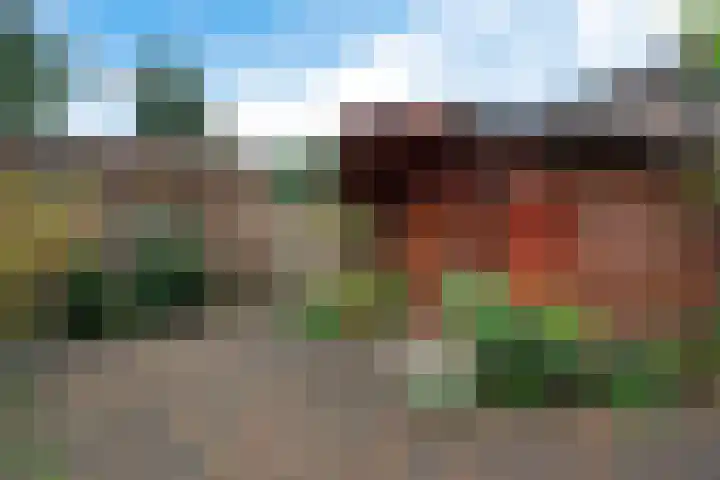 Valkenveld 131 Emmen thumbnail 30