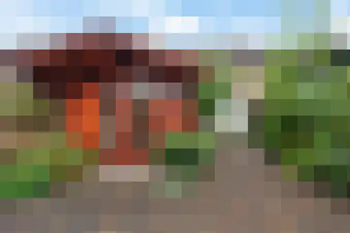 Valkenveld 131 Emmen thumbnail 32
