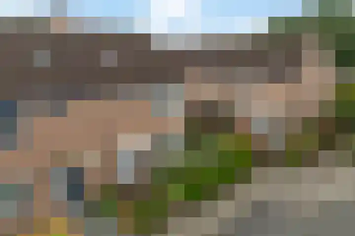 Valkenveld 131 Emmen thumbnail 38