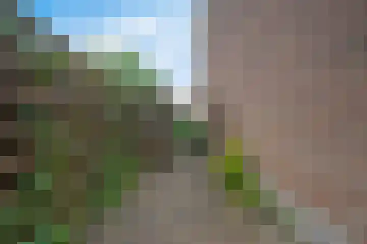 Valkenveld 131 Emmen thumbnail 41