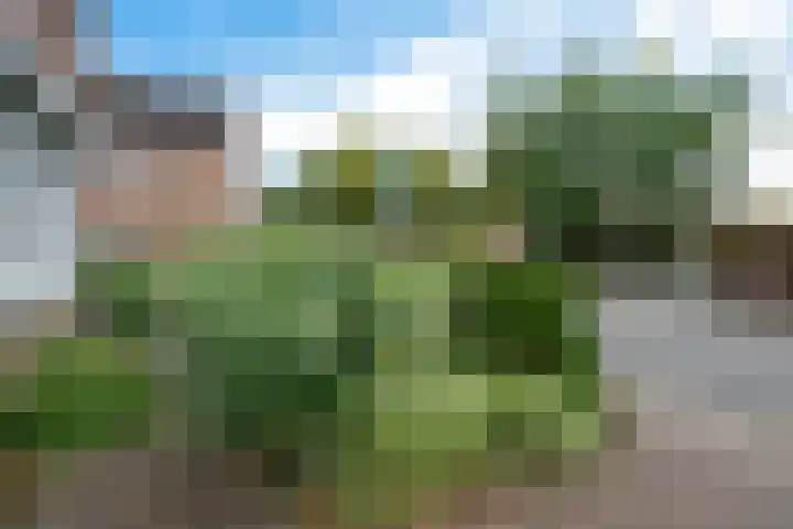 Valkenveld 131 Emmen thumbnail 42