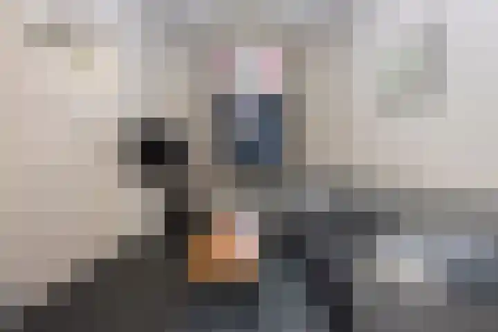 Valkenveld 21 Roden thumbnail 11