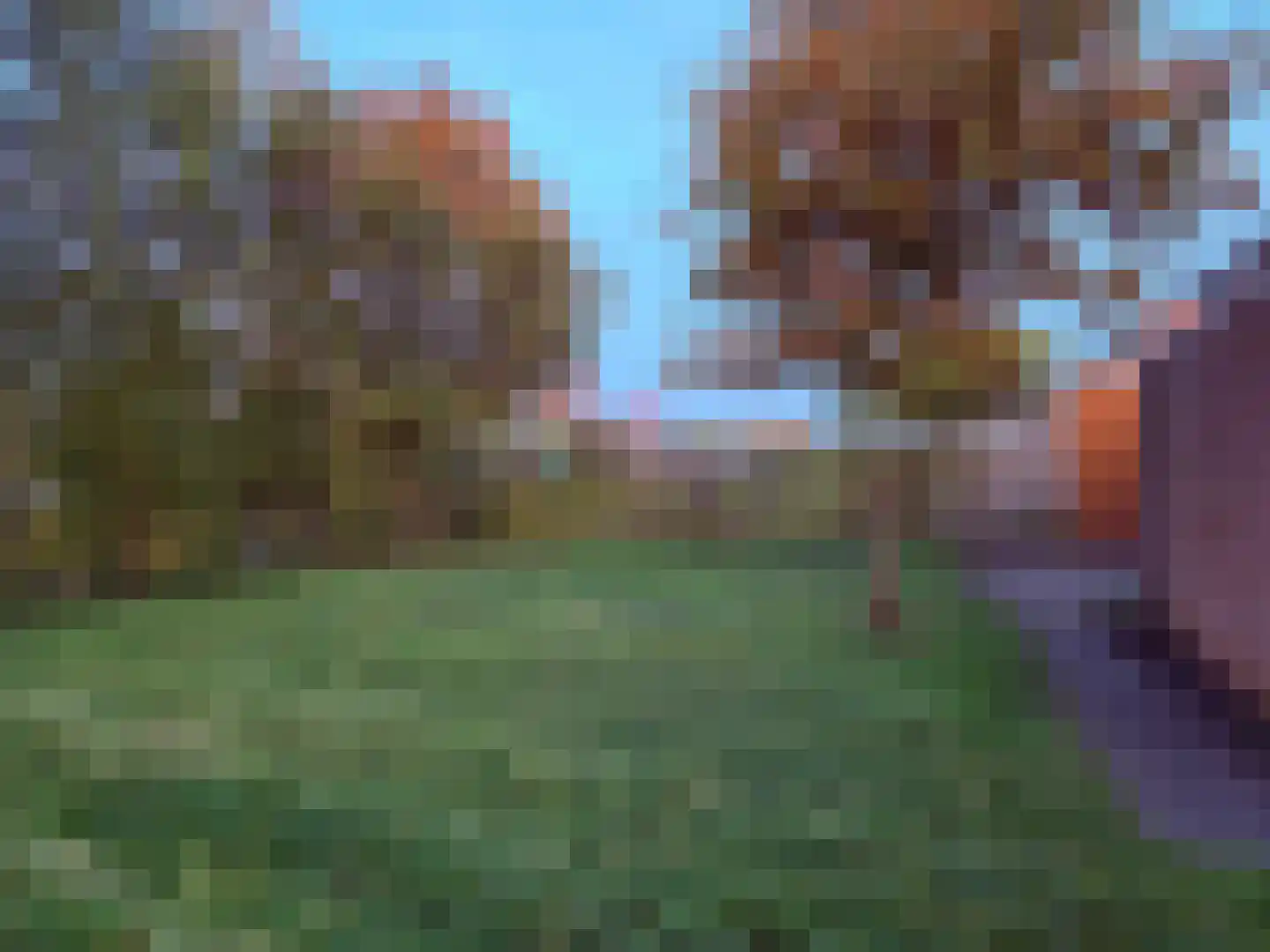 Valkenveld 21 Roden thumbnail 13
