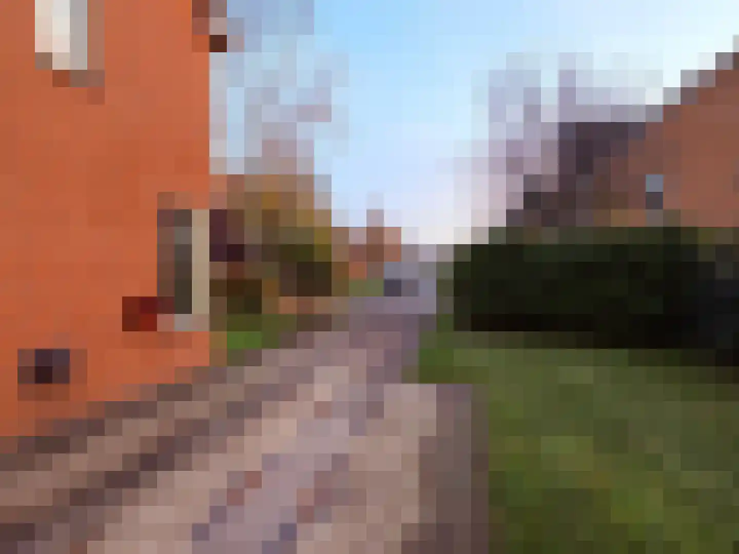 Valkenveld 21 Roden thumbnail 7