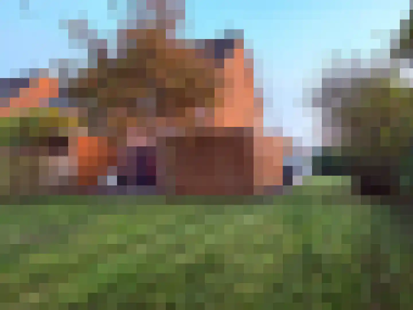 Valkenveld 21 Roden thumbnail 9