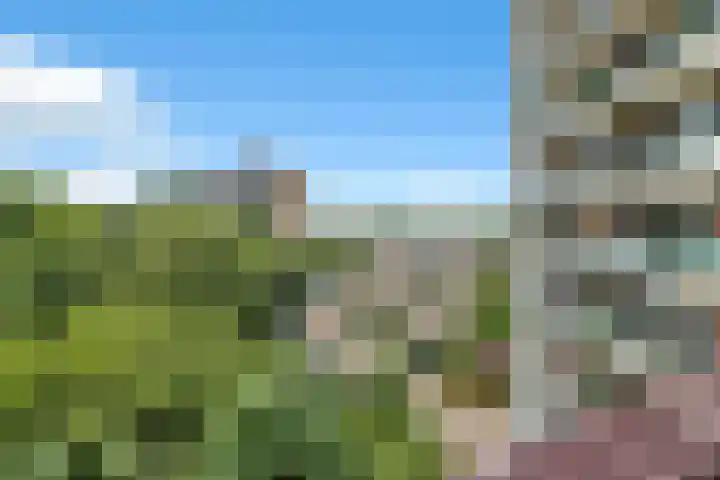 Valkestein 507 Ede thumbnail 47