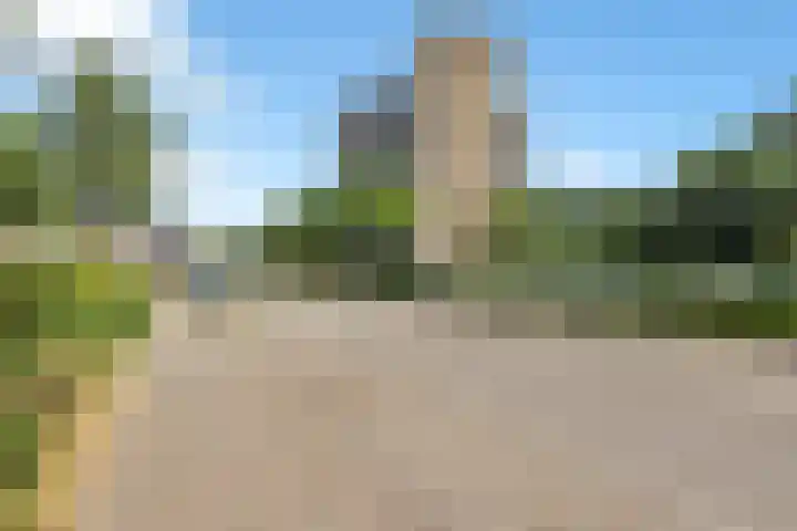 Valkestein 507 Ede thumbnail 6