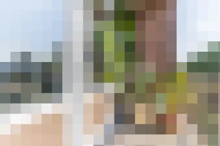 Valkhof 112 Amsterdam thumbnail 11