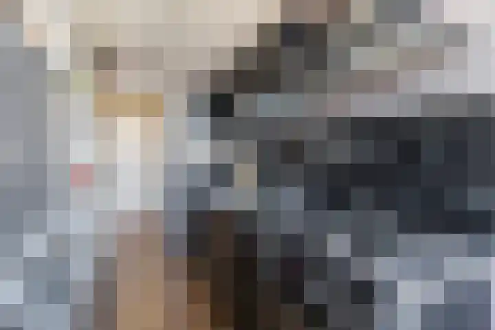 Valkhof 112 Amsterdam thumbnail 15