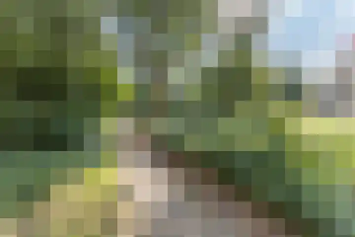 Valkhof 112 Amsterdam thumbnail 25