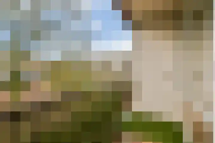 Valkhof 130 Amsterdam thumbnail 13