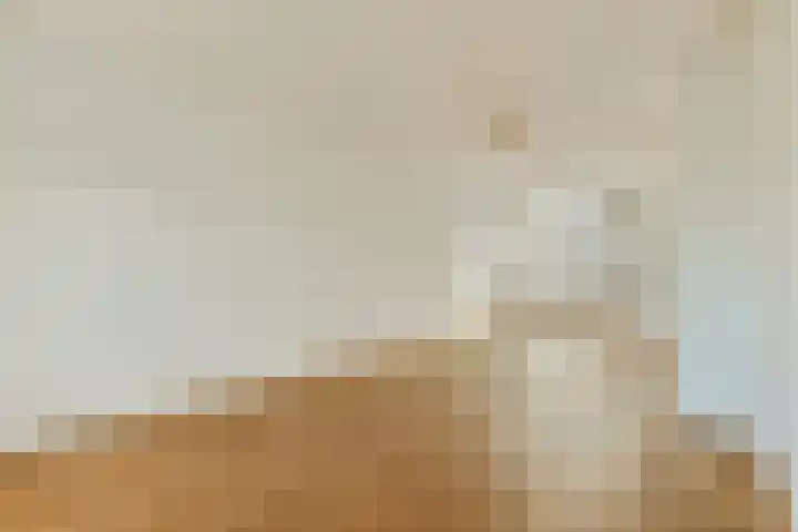 Valkhof 130 Amsterdam thumbnail 9