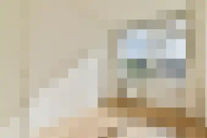 Valkhof 145 Amsterdam thumbnail 15