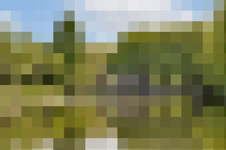 Valkhof 145 Amsterdam thumbnail 23