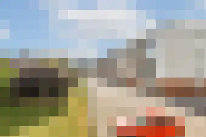 Valkhof 145 Amsterdam thumbnail 6