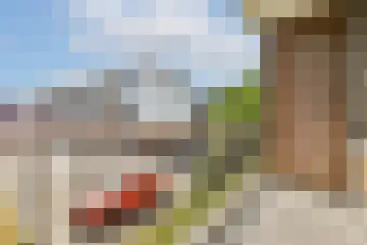 Valkhof 145 Amsterdam thumbnail 7