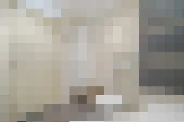 Valkhof 3 Leidschendam thumbnail 22
