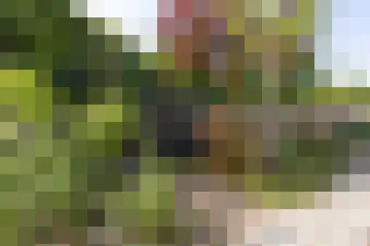 Valklaan 4 Bilthoven thumbnail 39