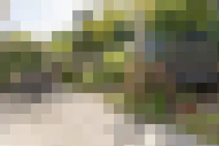 Valklaan 4 Bilthoven thumbnail 41