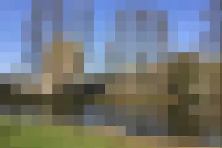 Valkreek 35 Rotterdam thumbnail 17