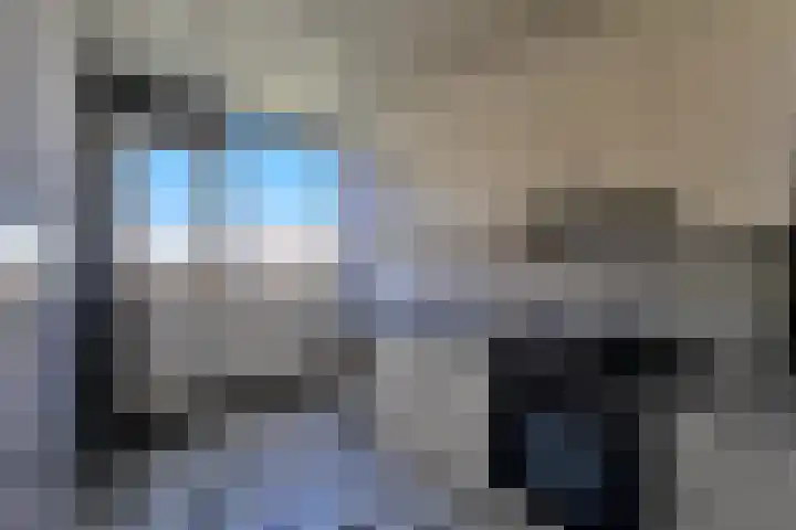 Valkreek 35 Rotterdam thumbnail 7
