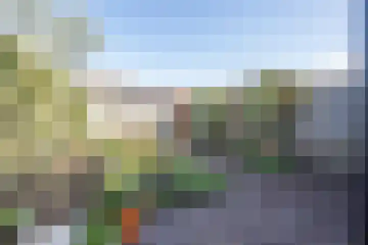 Valkreek 35 Rotterdam thumbnail 9