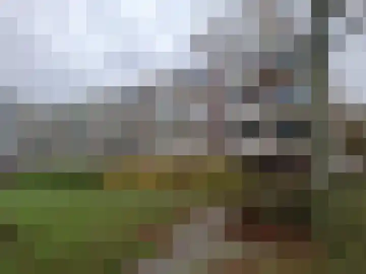 Valkreek 55 Rotterdam