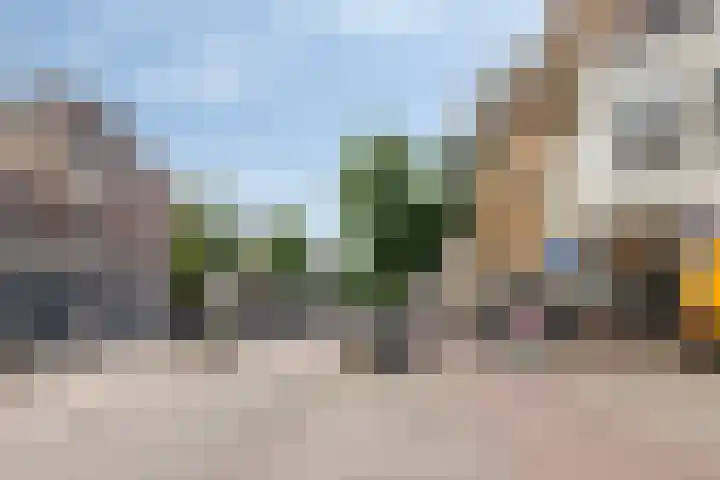 Valkreek 55 Rotterdam thumbnail 14
