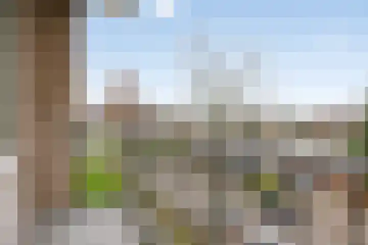 Valkreek 92 Rotterdam thumbnail 19