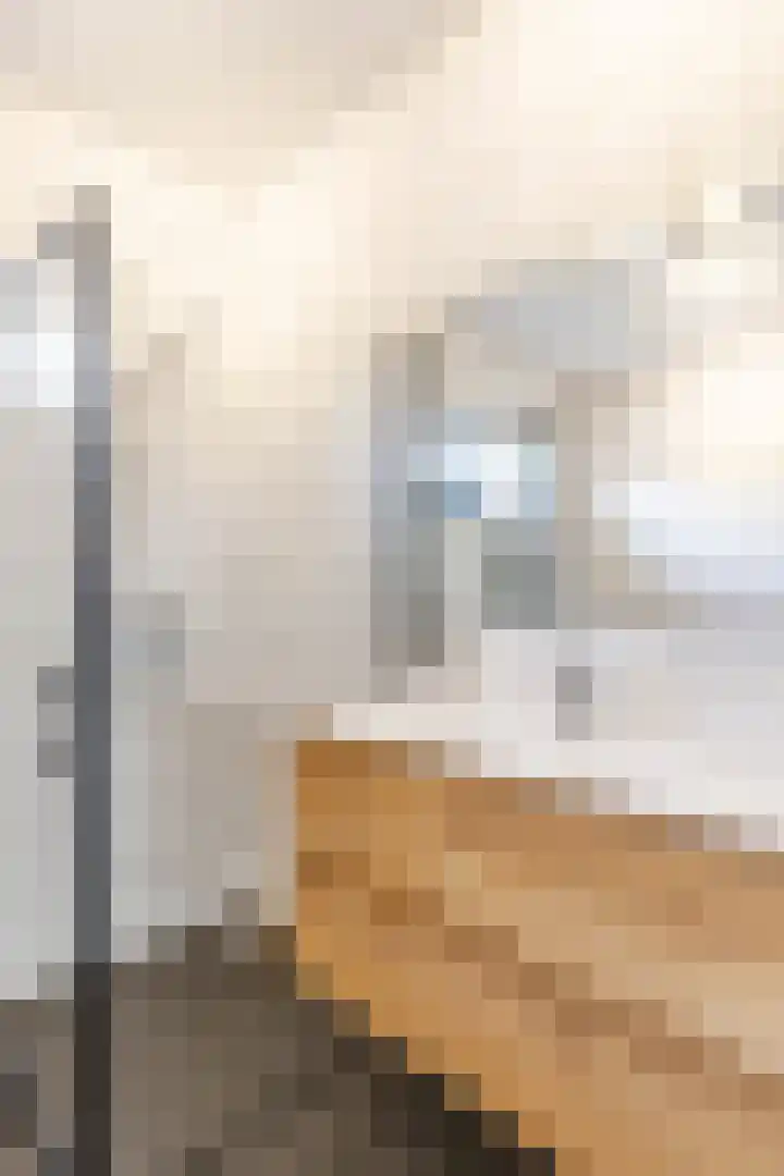 Valkstraat 54 Sneek thumbnail 45