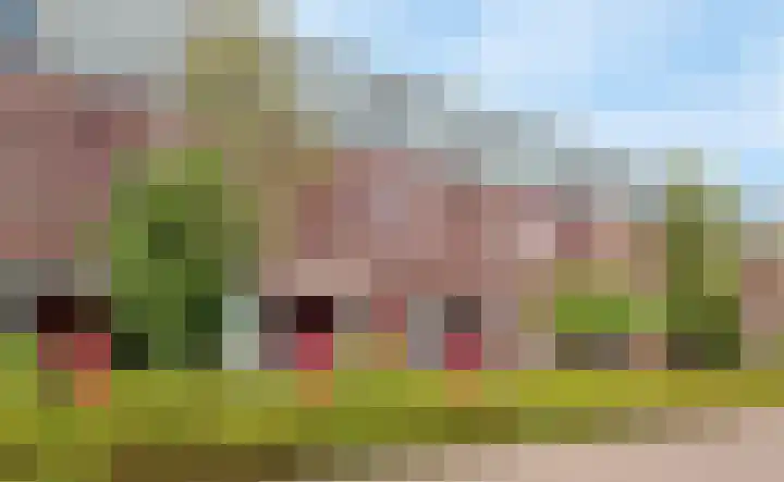 Valkstraat 54 Sneek thumbnail 7