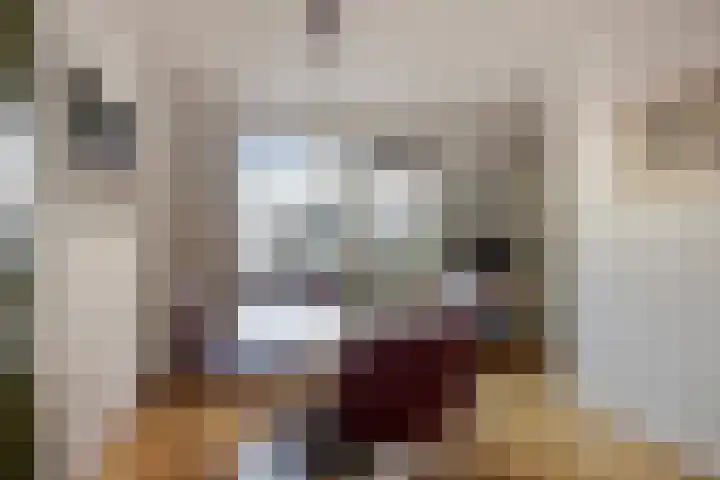 Vallaat 25 Tolbert thumbnail 14