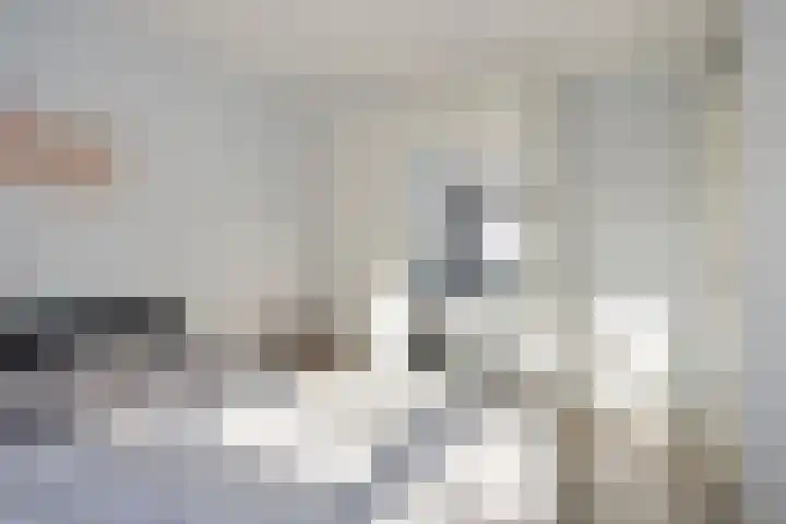 Vallaat 25 Tolbert thumbnail 23
