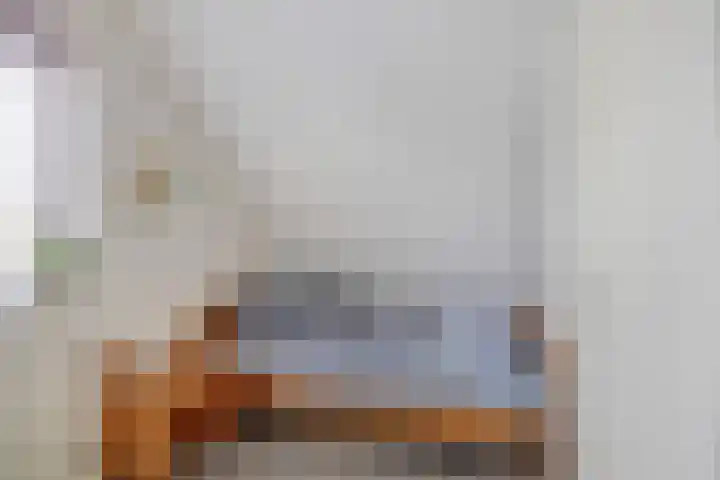 Vallaat 25 Tolbert thumbnail 25