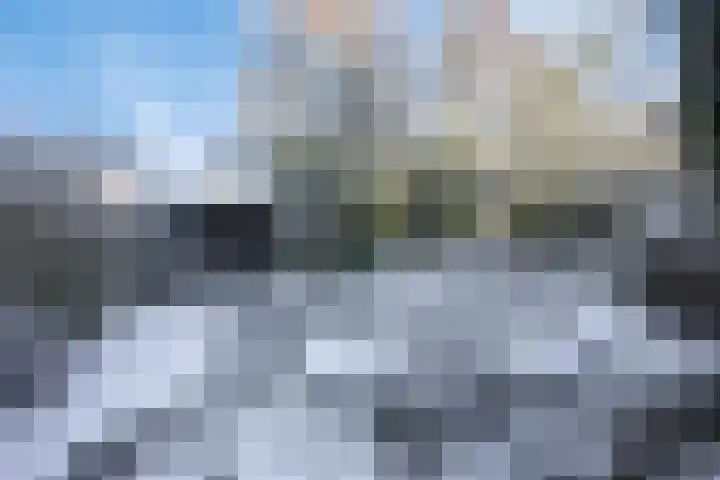 Vallaat 25 Tolbert thumbnail 4
